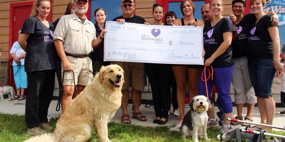 Les 500 km de Charles Collin et son chien Junior permettent d’amasser 9000 $ pour le Refuge Madawaska Shelter